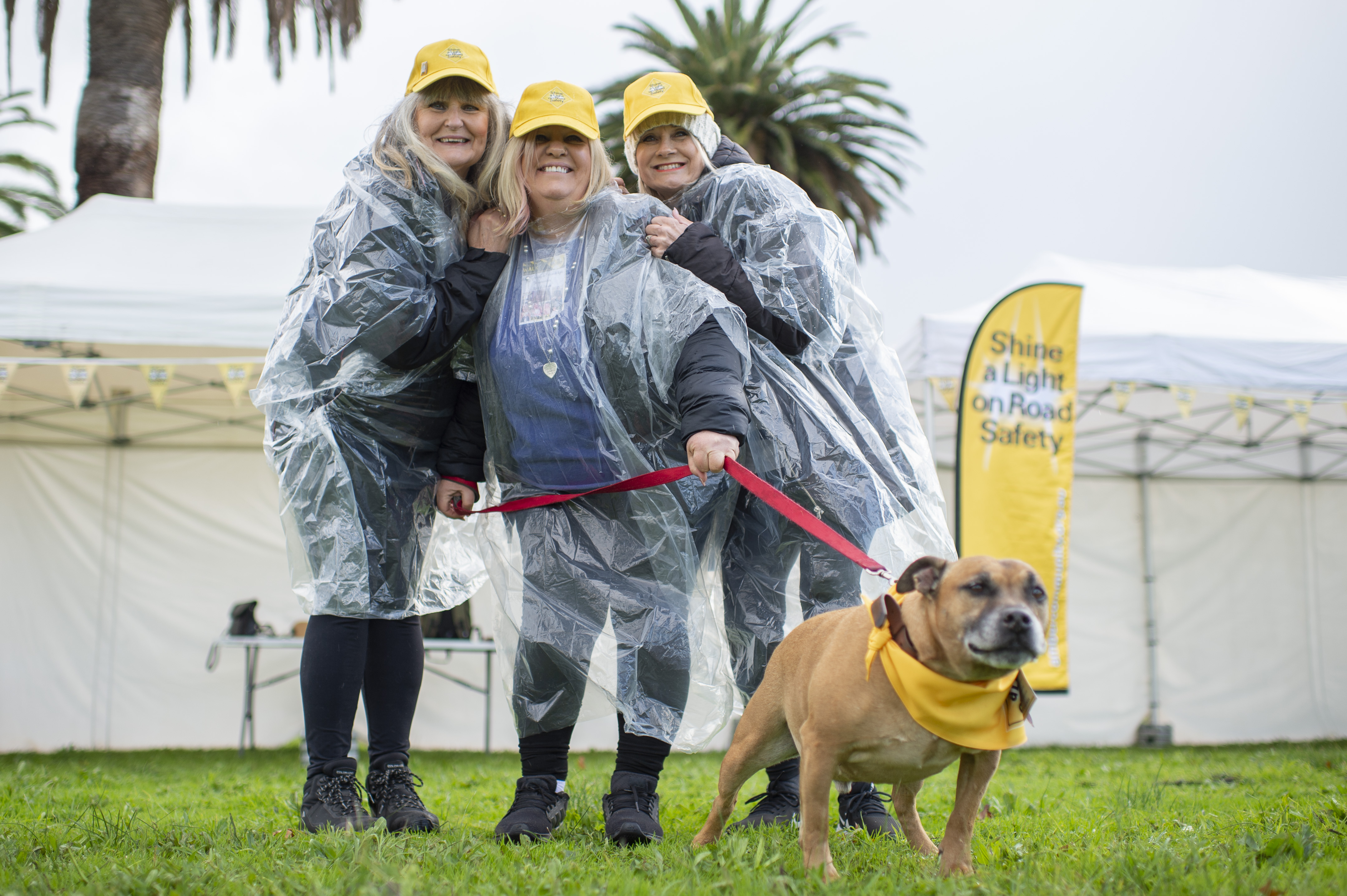 Shine a Light on Road Safety community walk