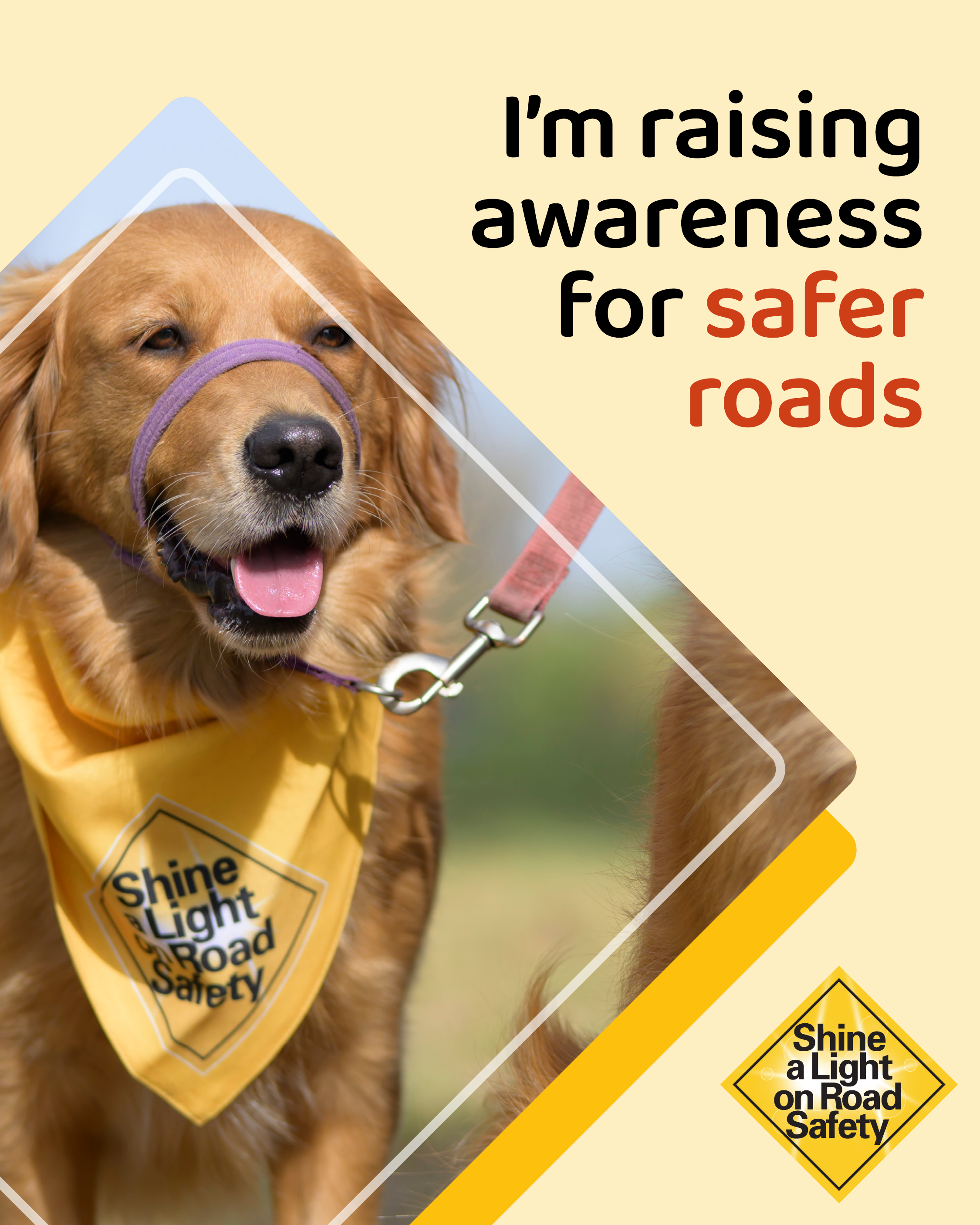 Share on your social media