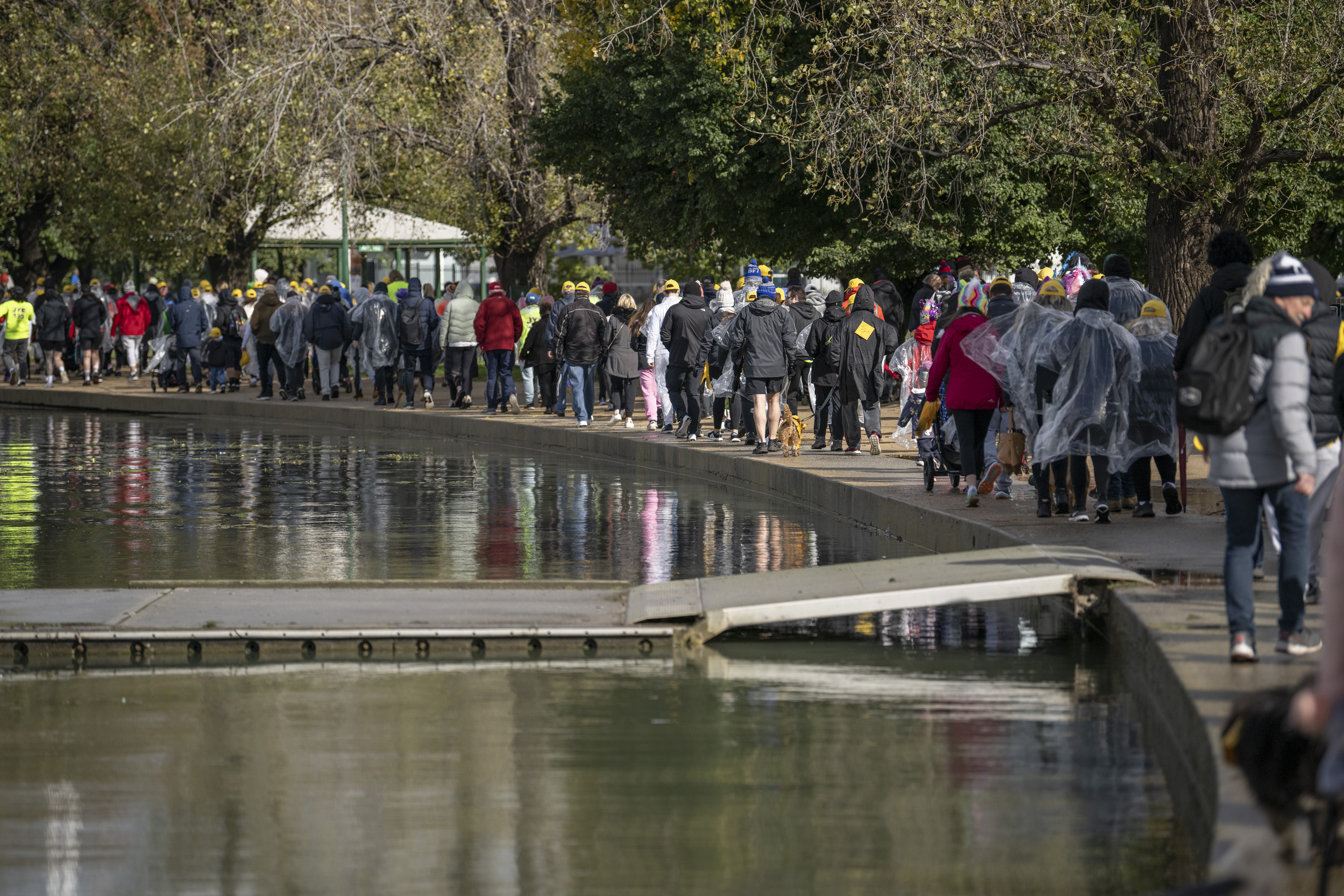 Shine a Light on Road Safety community walk